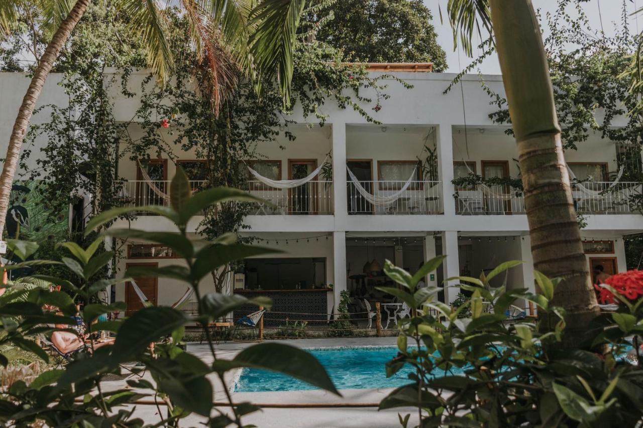 Casa Del Pavo Real Boutique Hotel Palomino Ngoại thất bức ảnh
