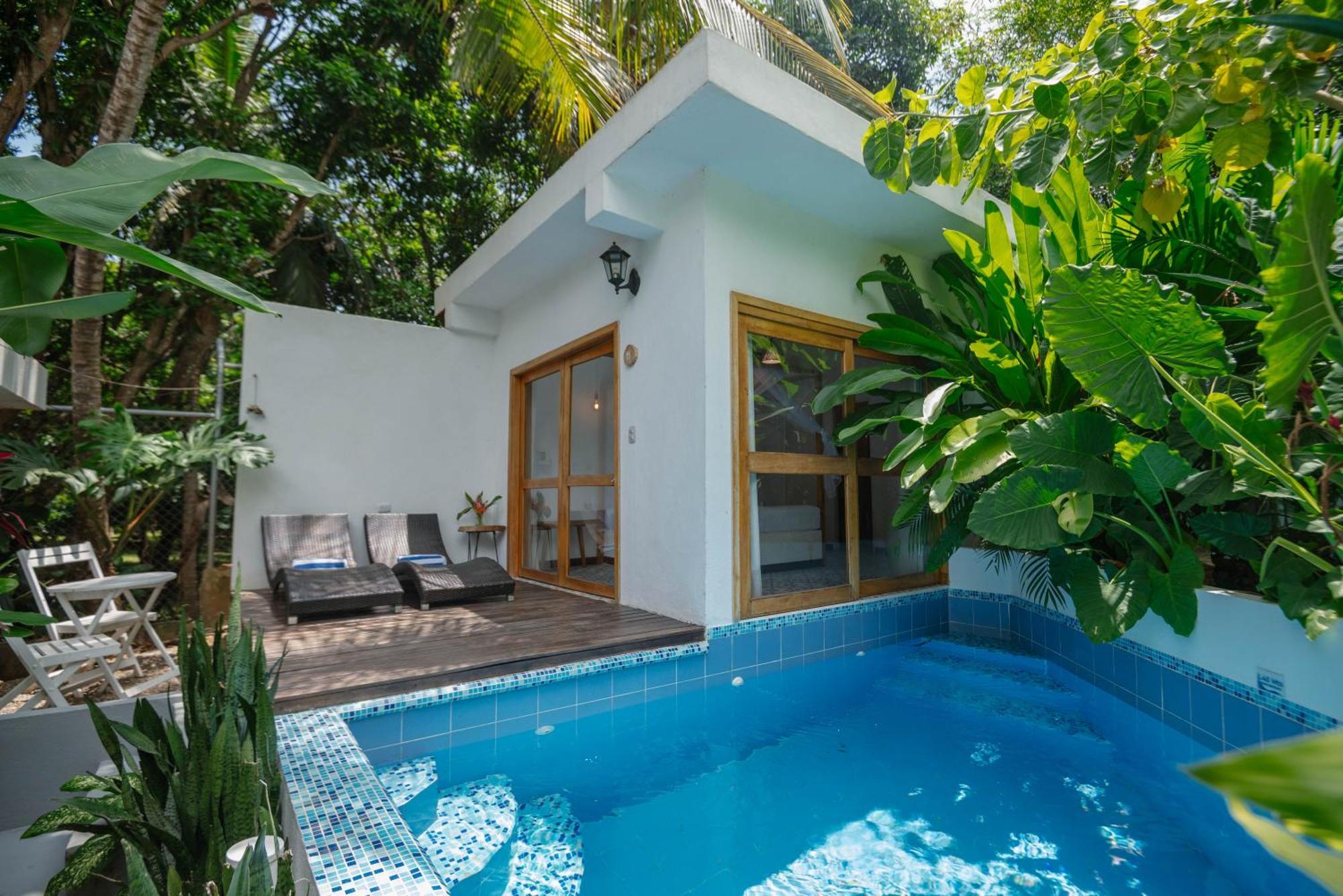 Casa Del Pavo Real Boutique Hotel Palomino Ngoại thất bức ảnh